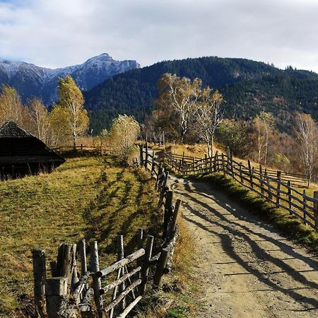 Pensiunea Montan din Bran,sat Simon SPA indoor Bran  Bagian luar foto