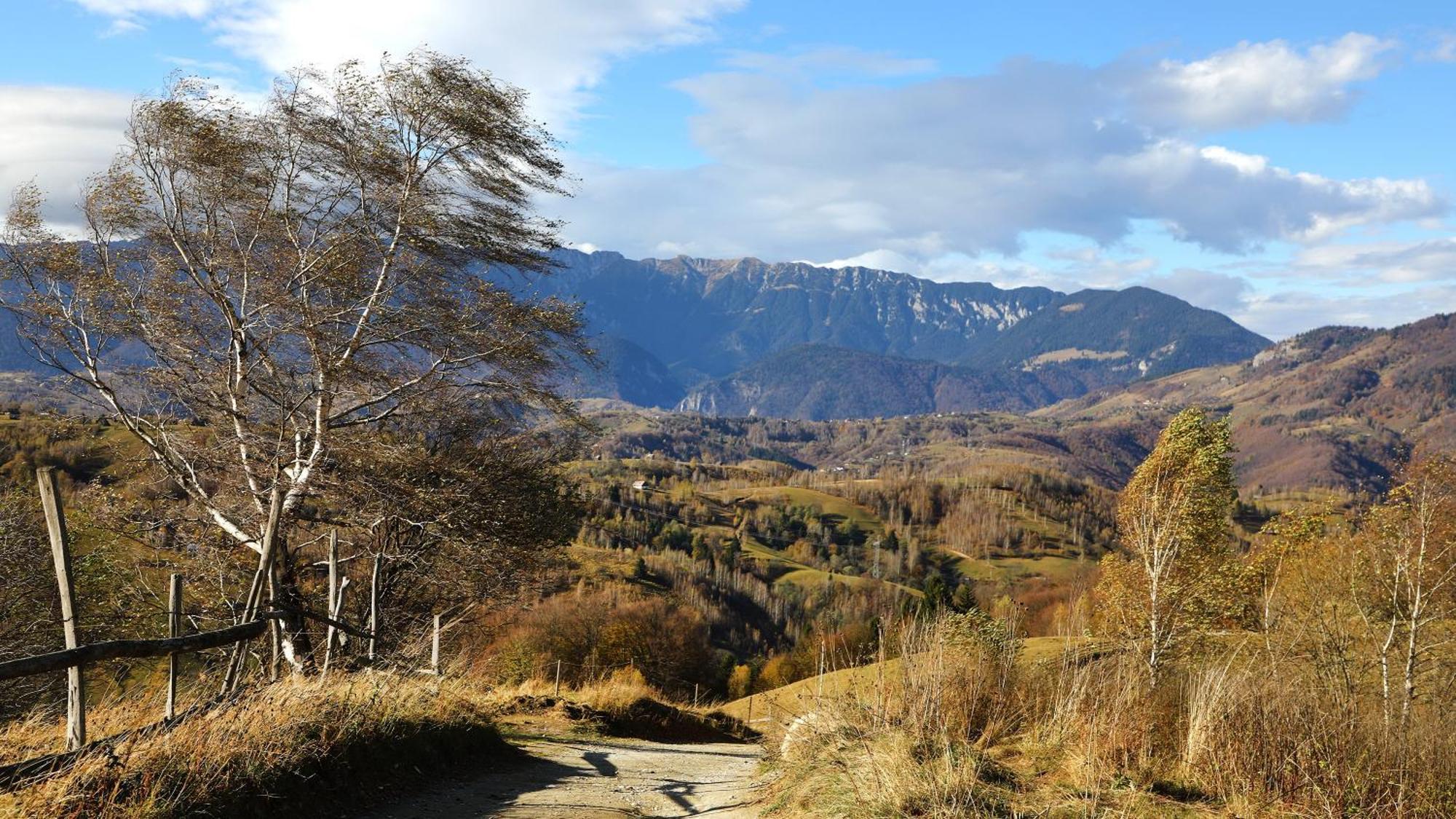 Pensiunea Montan din Bran,sat Simon SPA indoor Bran  Bagian luar foto